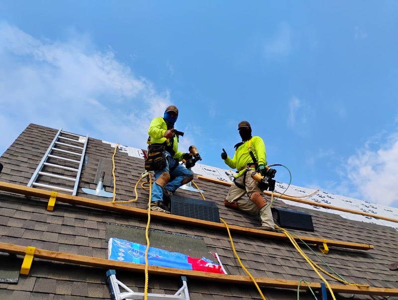 Worker inspecting algae-covered roof